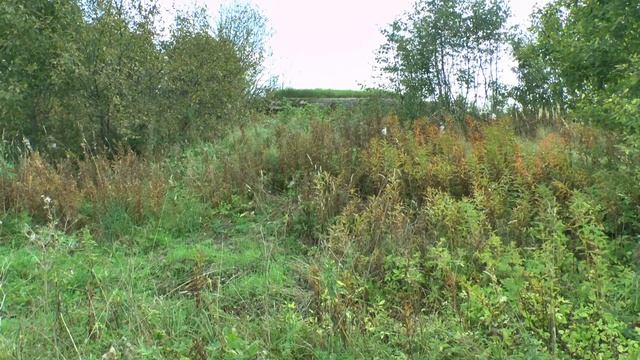 № 61. Поиск монет. Распаханное урочище.