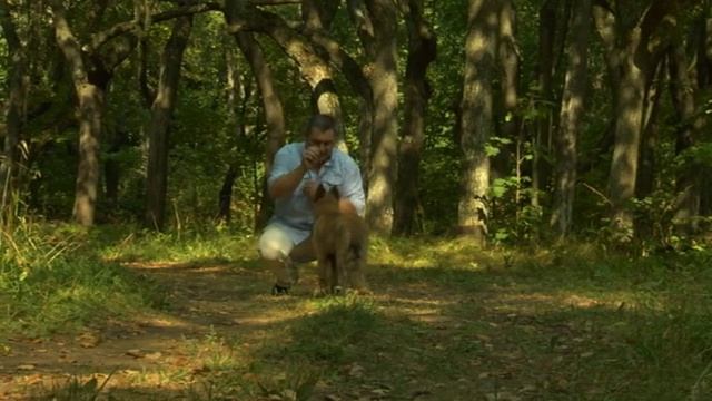 Уроки воспитания щенка. Дрессировка смотреть онлайн