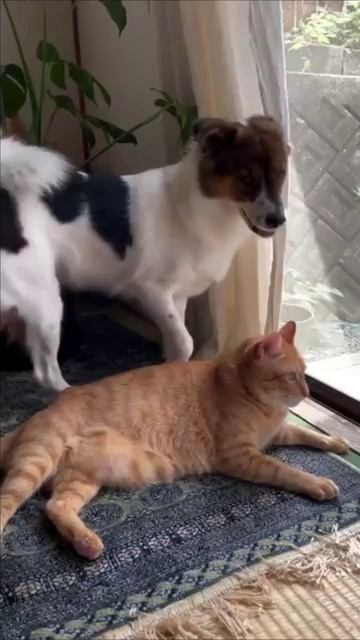 Друзья смотреть онлайн