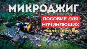 Микроджиг для начинающих: как выбрать снасти, приманки и научиться ловить | Всё, что нужно знать