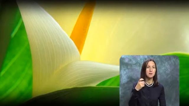 Букет. Выпуск 122 смотреть онлайн