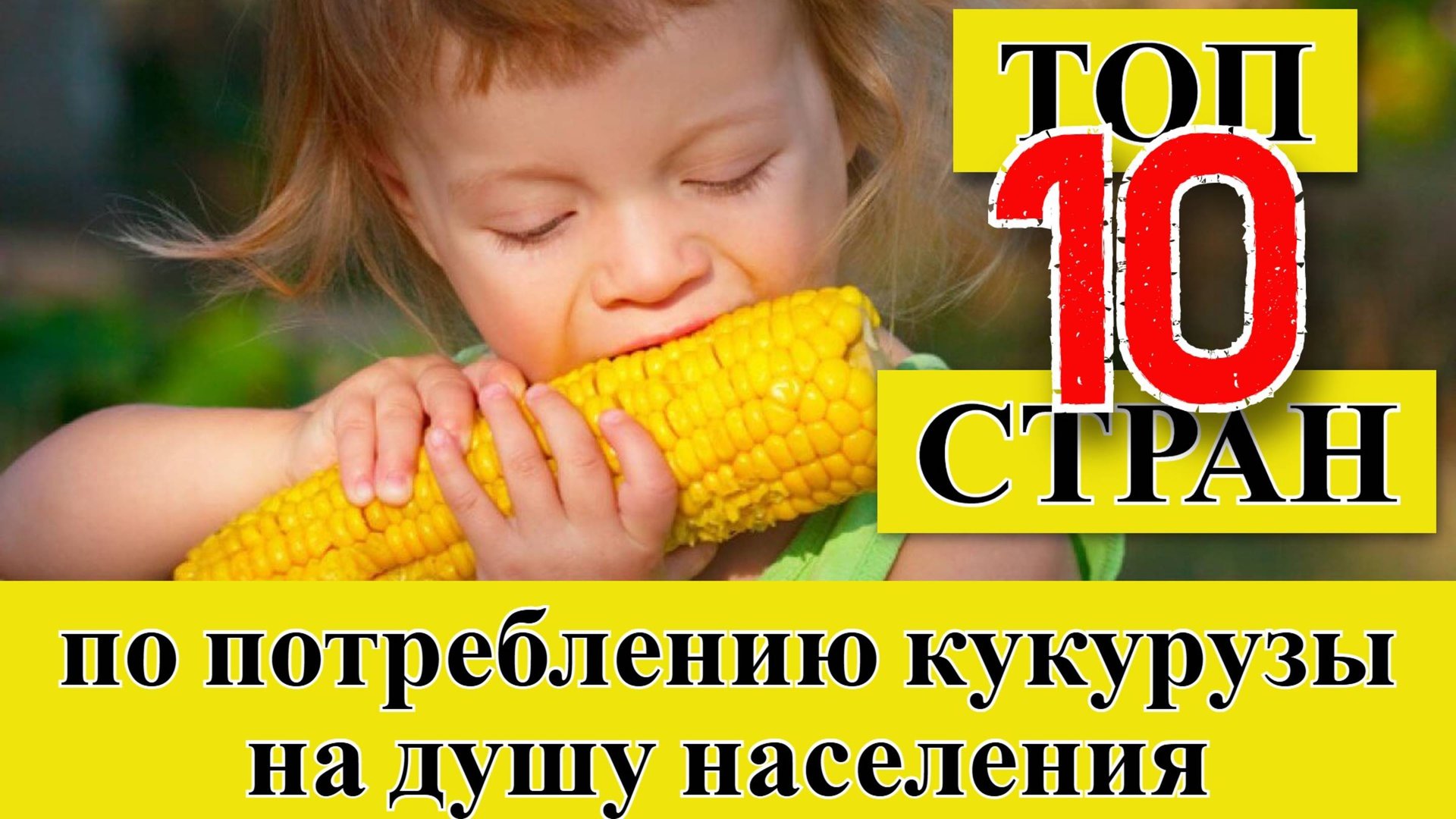 Самые кукурузные страны: ТОП 10 стран по потреблению кукурузы на душу населения смотреть онлайн
