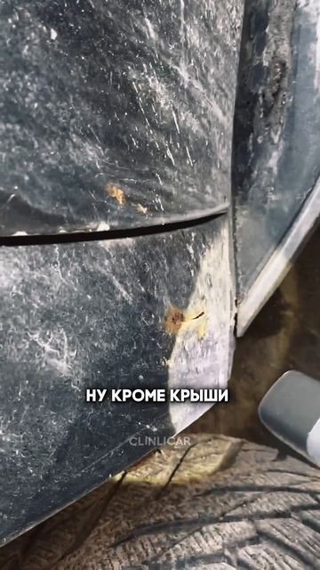 за 500 эск #clinlicar #automobile #автоподборспб #автоподбормосква смотреть онлайн