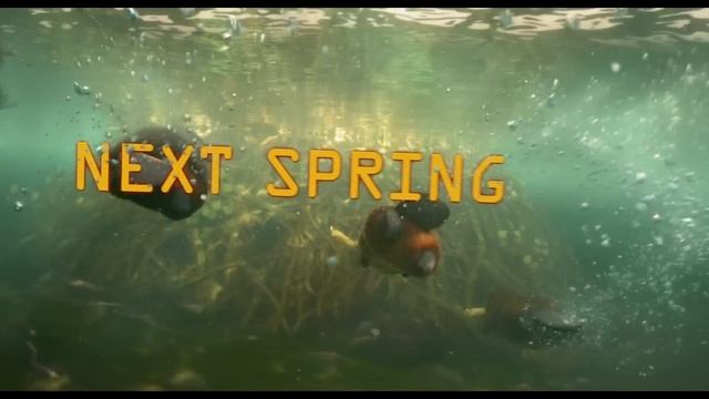 Hoppers тизер-трейлер (2026)