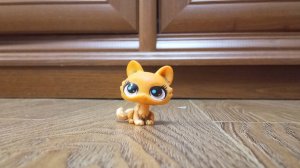 лпс школа история Рейчел