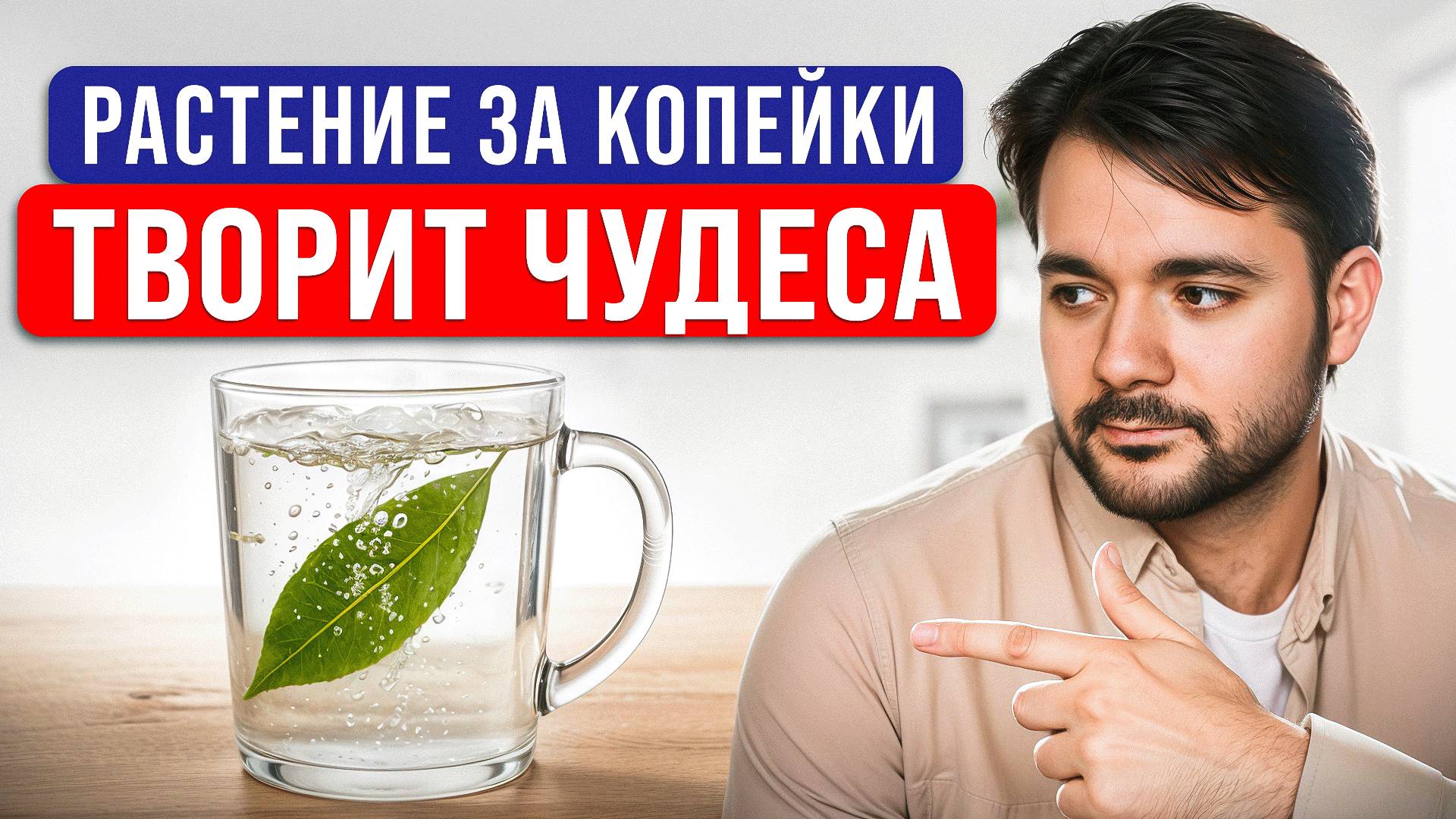 Чудо Растение за Копейки Спасает от Болезней / В чем Главная польза Лаврового Листа? смотреть онлайн