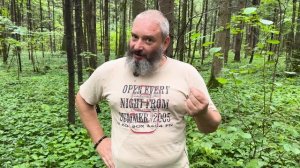 Клязьменский лесопарк. Грибы на деревьях. Опята летние и ложные, трутовики, чага. Михаил Вишневский