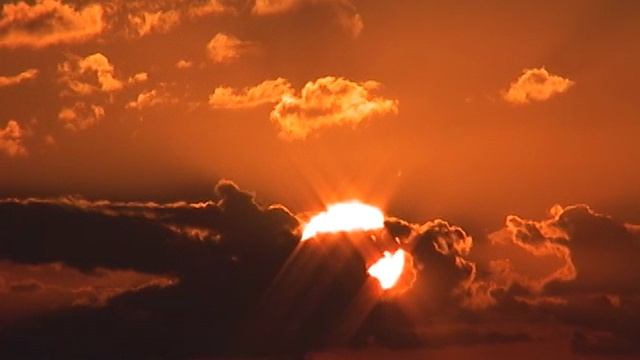 Выхухоль. "Решимость"!