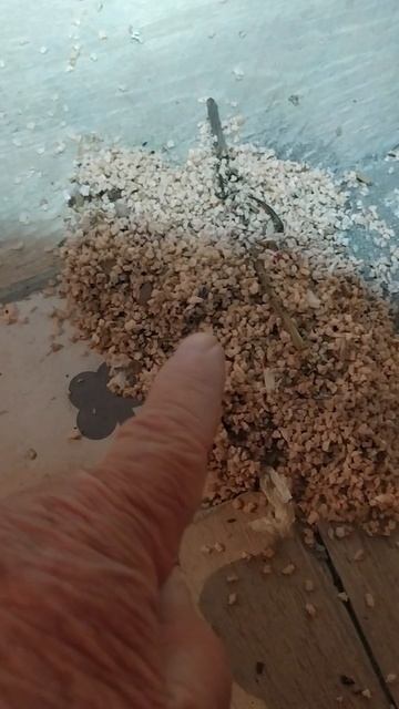 Экструдированный пенополистирол, плюсы и минусы.