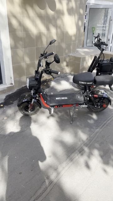 Совсем скоро, вы увидите у нас на канале этих двух зверей!!