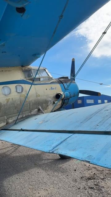 В Торжок доставили легендарный Ан-2