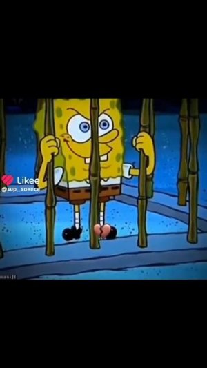 Спанч прикол