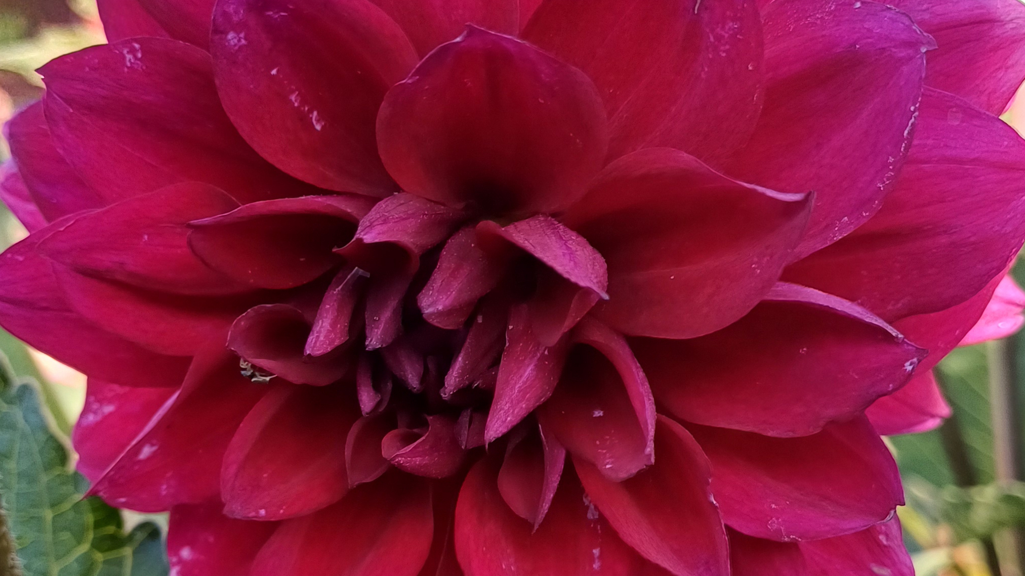 Осень на даче🍁🍎☀️