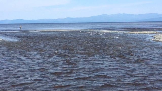 Охотское море смотреть онлайн