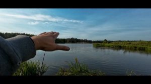 Как выбрать точку ловли на реке_ Показываю на примере! #рыбалканафидер #fishing #feeder