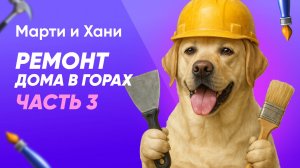 РЕМОНТ ДОМА МЕЧТЫ В ГОРАХ / ЧАСТЬ 3 / ЛАПОМОЙКА ДЛЯ СОБАК / РЕМОНТ ПОЧТИ ОКОНЧЕН / ИДЕИ ДЛЯ РЕМОНТА