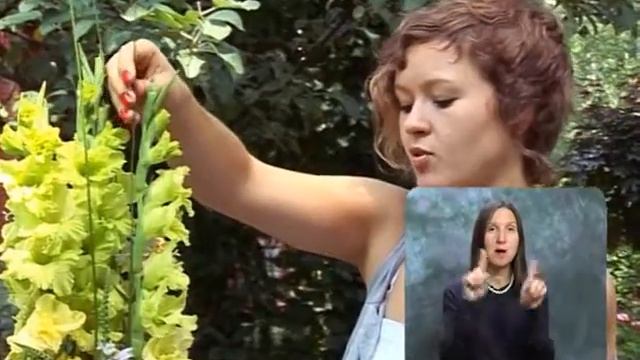 Букет. Выпуск 115 смотреть онлайн