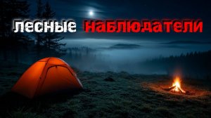 4 страшные истории о Жутких Встречах в Глуши. Истории на ночь.