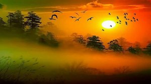 Дождик со снегом