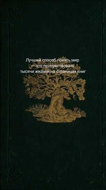 тгк: Emerald Academia