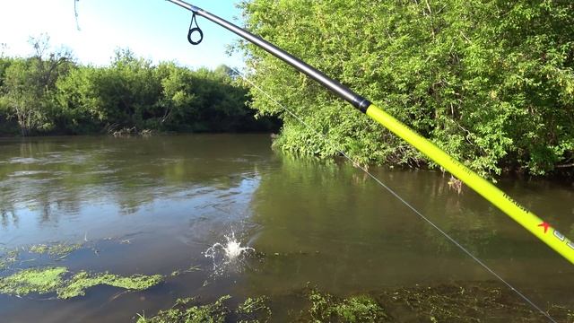 Щука! - одним словом. Рыбацкие переживания