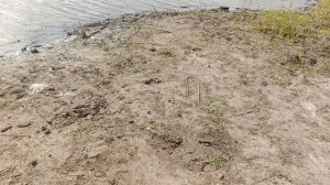 Рыбалка на озере круглом С КАЖДОГО ЗАБРОСА