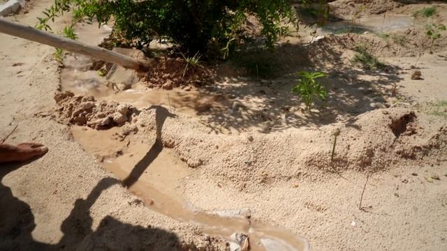 Следы Римской цивилизации на острове | Остров мечты смотреть онлайн