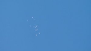 Пермские голуби