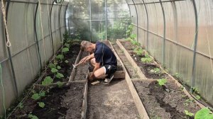 ВСЕМ БОЛЬШОЕ СПАСИБО...ПРИЕХАЛИ ПОМОЩНИКИ