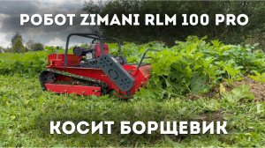 Косит и не чувствует БОРЩЕВИК! РОБОТ - МУЛЬЧЕР ZimAni RLM 100 PRO
