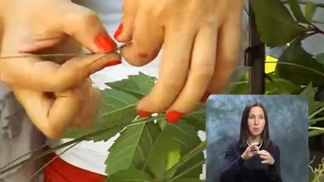 Букет. Выпуск 117 смотреть онлайн