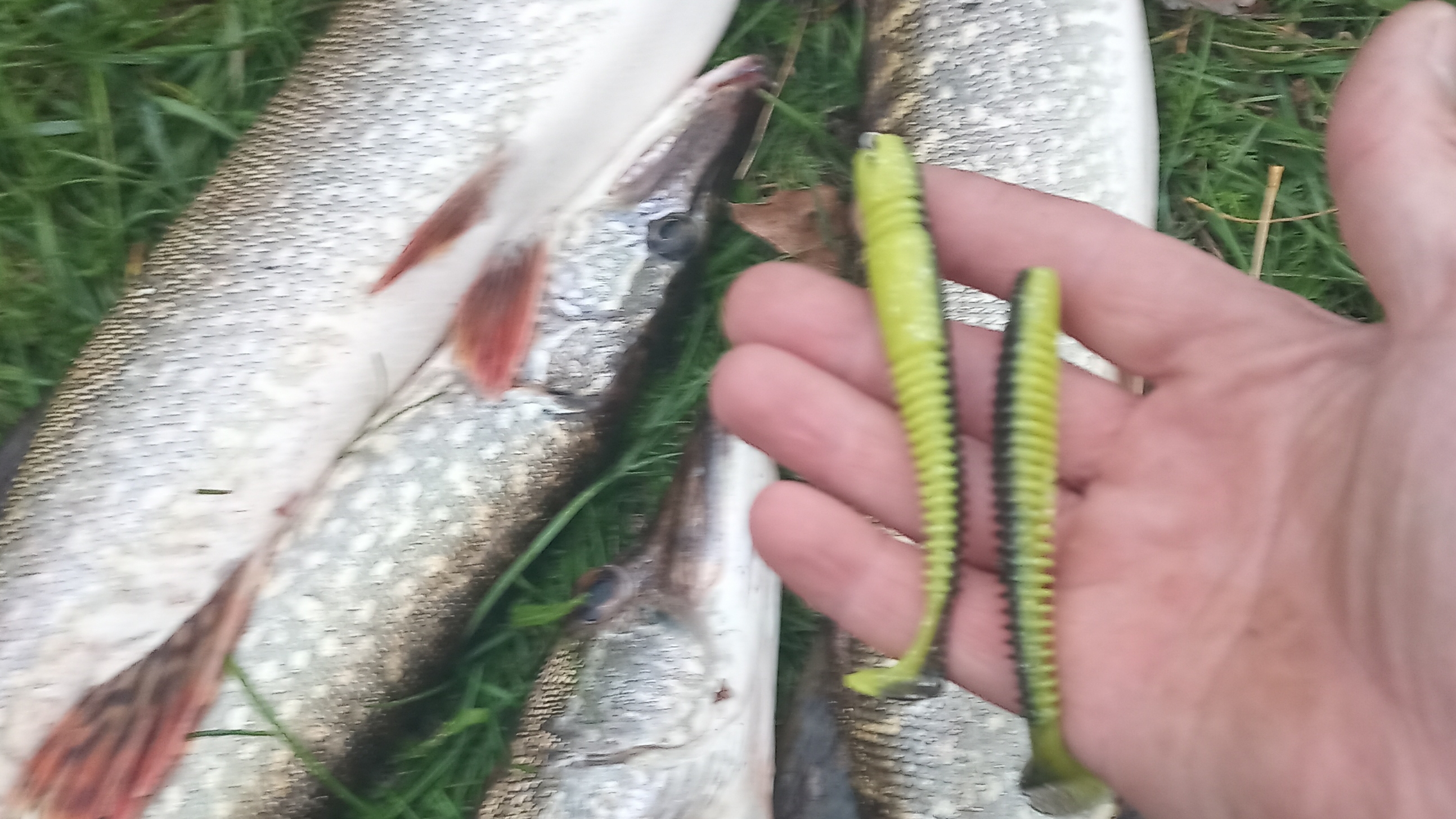 Мои уловистые приманки смотреть онлайн