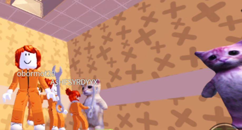 побег от кота эль като. часть 1