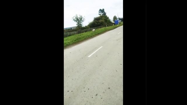 11сссееааяааннааттяяааббаарряаарраяяаяарряяччееечееаттыыоррееааяааеешшььь!!!!!220022555ггг...!!!!!!! смотреть онлайн