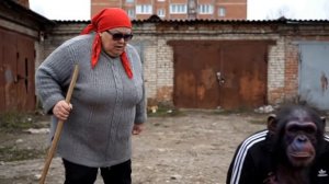 Братья Обезьяновы на разборках