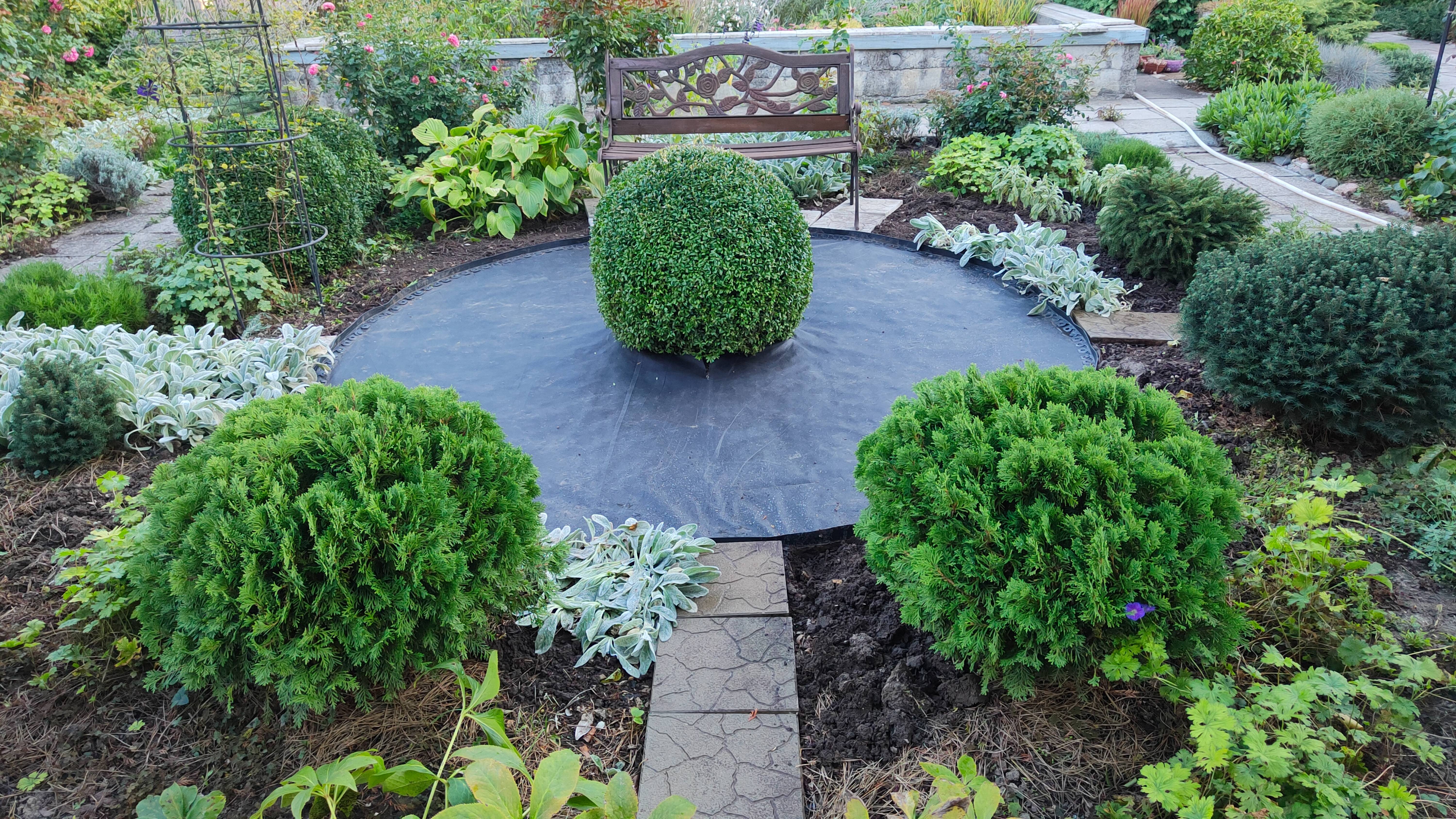 Застелили на площадку геотекстиль и прибили бордюр, уже начала посадки вокруг. 13 и 15.09.2025 г. смотреть онлайн