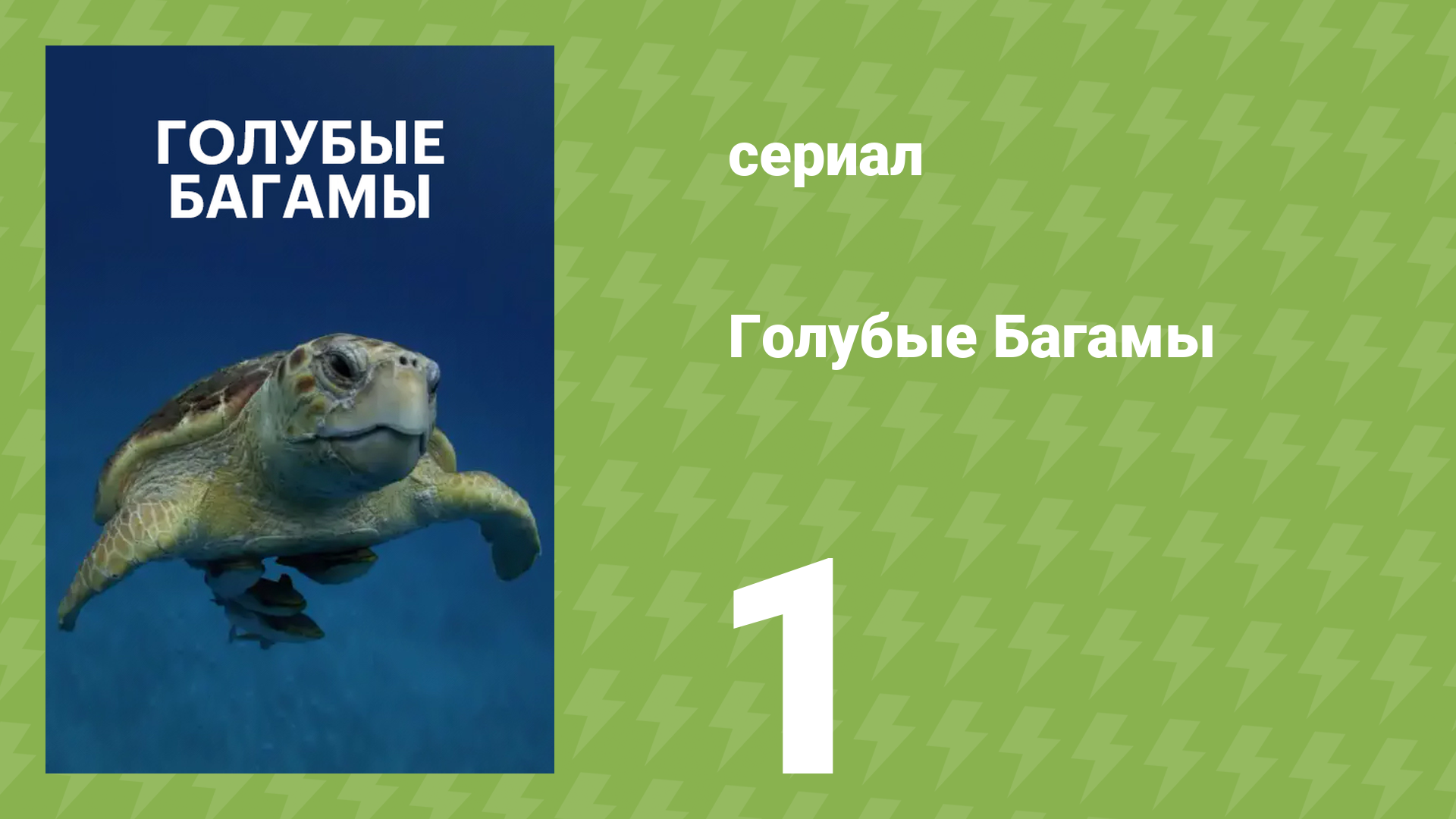 Голубые Багамы 1 серия «Голубые дыры и пещеры» (документальный сериал, 2015) смотреть онлайн