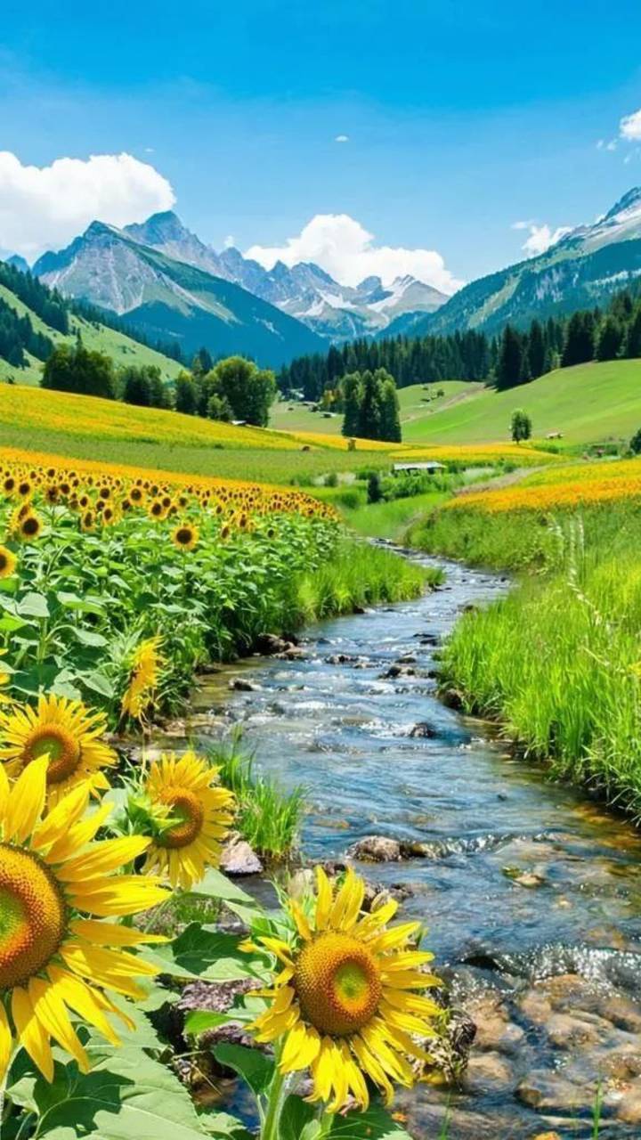 Лето ремикс клип