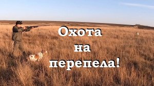Охота на перепела! / Рис вместо дроби! / Не попал, так хоть покормил... - Батл!!!