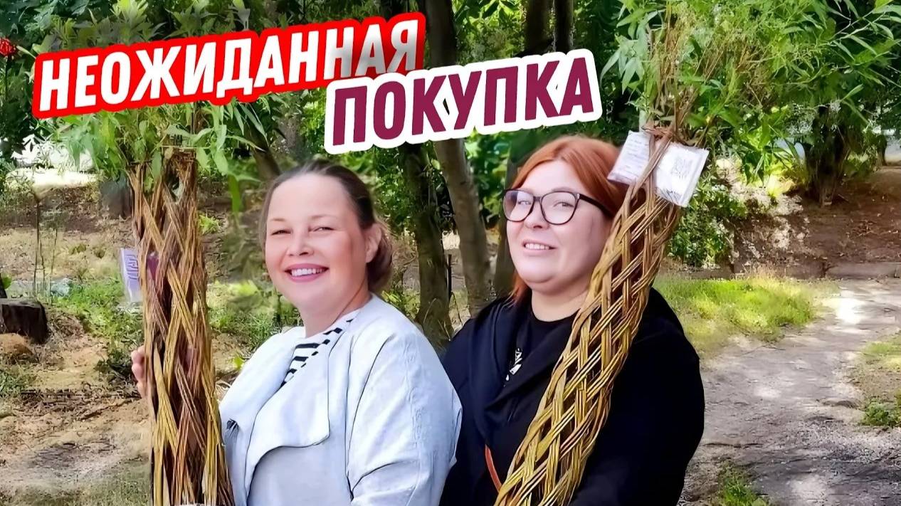 Это было неожиданным решением! Наши будни