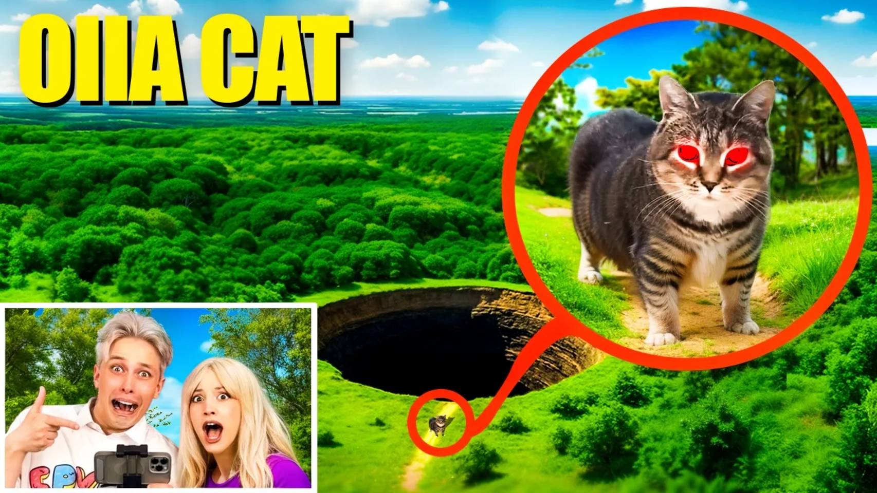 мой дрон снял НАСТОЯЩЕГО OIIAOIIA CAT в Реальной Жизни!