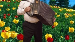 Мой фильм на песню "Край ты мой любимый"