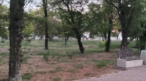 Керчь. Вечером в Ком. парке 14.09.25