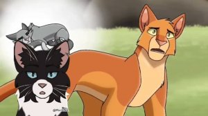 ТЕОРИЯ Камень и Жёлудь поменялись местами? | Черноглазка кв