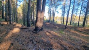 ASMR🎄 Пробное видео если понравится понимаю еще🎄