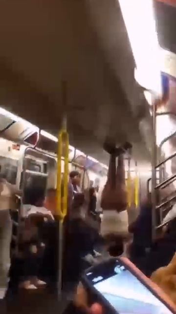 Ох уж эти американе😆 смотреть онлайн