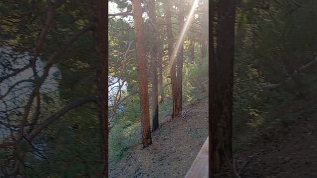 буба посетил парк 🏞🏞🏞 Тункинский