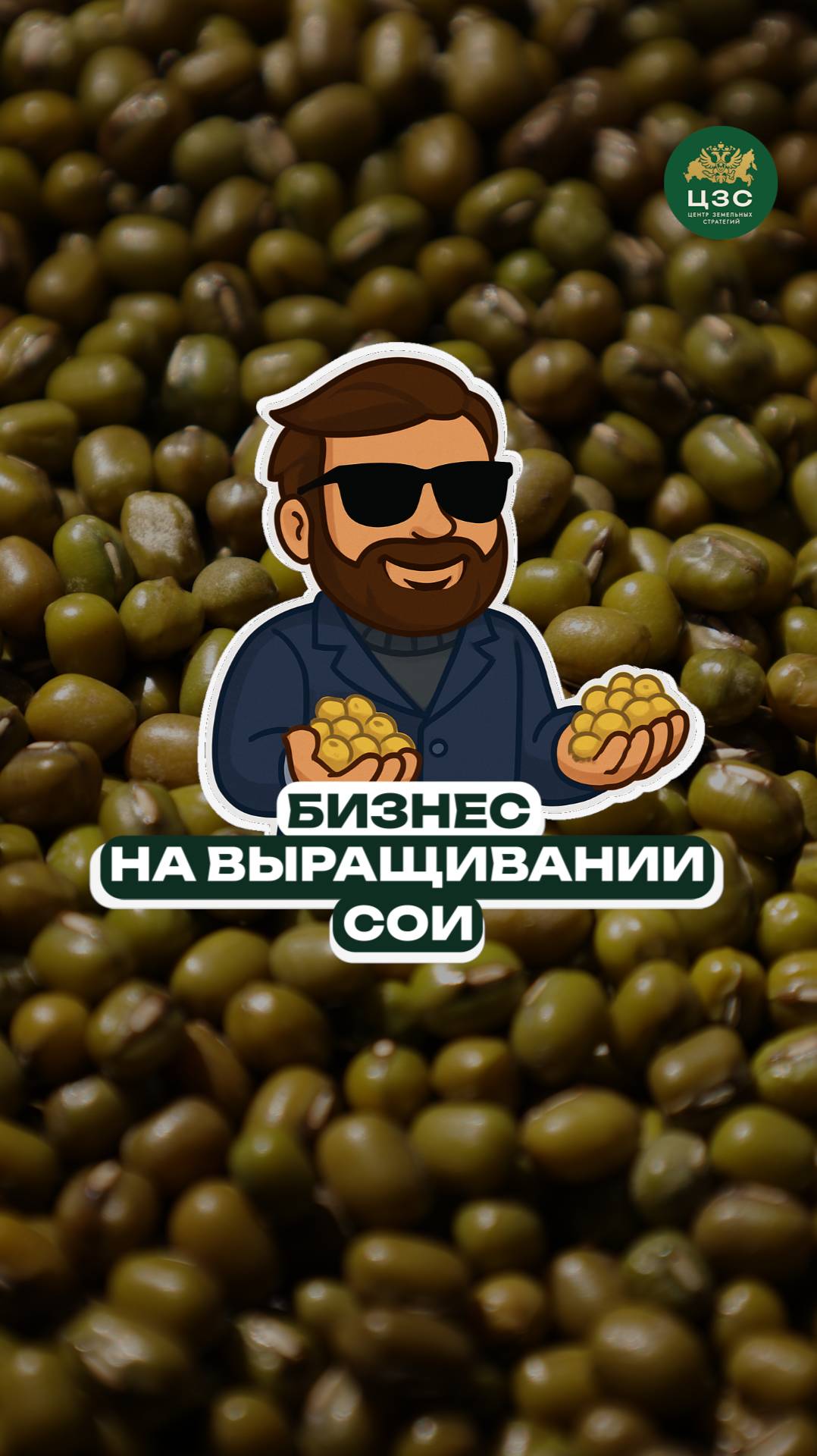 Соя — простой способ стать землевладельцем!