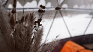 Сферический домик для глэмпинга изнутри: полный обзор планировки и интерьера геокуполов D6 и D7