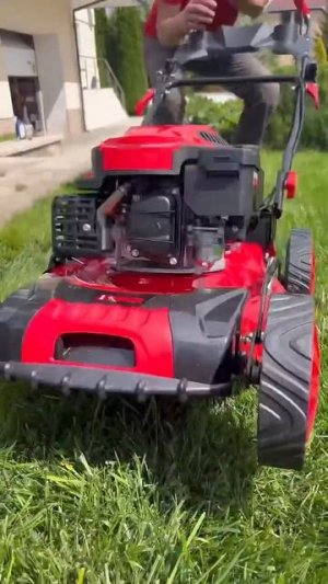 Чистим дорожки в саду с помощью бензиновой газонокосилки 😁👌